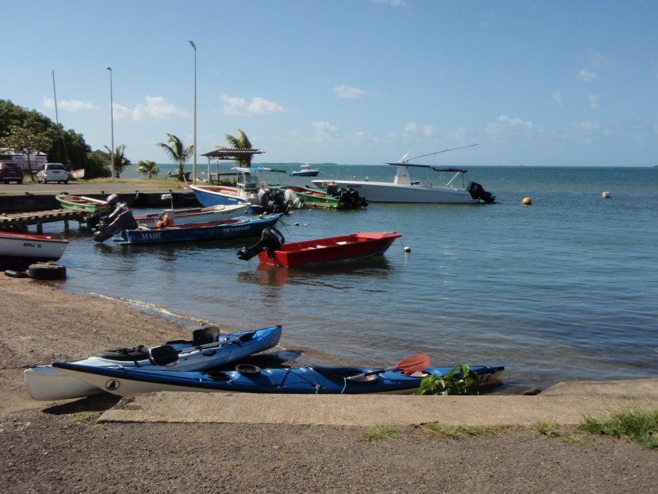 Guadeloupe Kajak, mangrove, barracuda, tarpon, snook och bonefish samt en massa vind.   Hemkommen från Guadeloupe. Att jag hamnade just på den ön berodde på att jag lovat yngsta dottern en tripp till Karibien. Jag hade varit iväg med min äldsta dotter till Los Roques. Men den yngre är lika rastlös som jag och pallar inte att bara chilla på en strand. Så jag tänkte att Guadeloupe skulle kunna passa både henne och mig. Nu fick yngsta dottern jobb och kunde inte följa med – men då hade redan stenen sats i rullning och jag hade börjat sikta in mig på fisket vid norra delarna av Guadeloupe.  Jag tog en charterresa till Langleys Hotell vid Fort Royal, som ligger på den nordvästra hörnan av Basse-Terre, vilken är den västra utav de två sammanhängande öar vilka utgör Guadeloupe. Nu var det en bra kuling de flesta dagarna jag var där och jag gav mer eller mindre upp morgonfiske nära hotellet. De lokala sportfiskarna fiskar uddarna med bottenmete. Såg en kille som tappade en större fisk då den antagligen drog in i någon håla så han blev tvungen att dra loss. Killen tog två minibonfish (20 cm) på sitt bottenmete.  Hade det varit lugnare vind, hade jag nog lånat en av kajakerna någon dag och testat en fin strömkant och ett par grund utanför hotellet. (Jag hade t.o.m. kunnat få låna en större dragg).   Jag började med att ta mig till den lilla staden Sainte-Rose på nordkusten av Basse-Terre, där jag trodde att jag skulle kunna hyra en kanot. Kanotuthyrare var det ont om. Däremot fanns ett rev precis väster om staden där en barracuda effektivt och knappt märkbart avlägsnade min fluga från tafsen. I närheten av revet mynnar en mindre flod och nära flodmynningen var vattnet ganska brunt. Säkert möjligt för både snook och tarpon även om jag inte såg något sådant just då och där.  Dagen efter fick jag tag i en hyrbil och drog till Morne Rouge, en liten håla öster om Sainte-Rose, där det gick att få tag i en kajak. Uthyraren hade en kajak som är ganska bred och som funkar hyfsat bra för fiske för en person. Breda dubbelkajaker har de massor av och även smalare varianter som är mer av den klassiska varianten, men som kanske inte är så bra att fiska från.    Hamnen i Morne Rogue. ”Min” kajak till vänster.  Nu var jag egentligen inne på baby-tarpon och snook. Kanotuthyraren tipsade mig om lagunen som ligger mellan Sainte-Rose och Morne Rouge. Där kajkade jag omkring och slängde mina flugor mot mangrovekanterna. Jag hörde någon enstaka fisk som jagade inne bland mangroverötterna, men på det hela taget var det väldigt lugnt. Inte en enda rollande tarpon, så några mängder var det i alla fall inte lagunen när jag testade. Bättre senare på säsongen?  Antagligen är det inga större mängder tarponer i just det här området.  De något hetare ställena är troligen ännu närmre Sainte-Rose, där det mynnar två mindre floder eller en god bit öster om Morne Rouge där Riviere Goyaves möter havet (tips jag fick). Båda områdena testades. Vid området närmre Sainte-Rose skrämde jag en fisk på över metern. Tarpon eller barracuda? Svårt att veta. Det såg mer ut som tarpon. Vattnet var bara halvmetern djupt och mycket grått. Går det tarpon på så grunt vatten? När jag frågade några lokala som kom med sin motorbåt upp mot floden om det fanns tarpon i området svarade ”oui et barracuda” och måttade 1,80 med armarna. Den första floden, som antagligen är den bästa, missade jag då dess mynning låg gömd i mangroven. Såg en jättestingrocka och hade ett par virvlar av hyfsade fiskar efter flugan och något hyfsat hugg. Ett stim med nervösa sardiner fanns i ett strömsatt litet sund. Om jag kommer tillbaka till Guadeloupe är det här ett område som jag skulle vilja undersöka närmre. Tarponer är som de är. Ena dagen här, nästa någon annan stans.    Mangrove  Nu var det enormt starka vindar medan jag var där. Hotellet släppte t.ex. inte ut kajaker och segelbåtar på.g.a. vinden. En dag var det lite mindre blåsigt på morgonen och jag beslöt mig för att kämpa mig mot vinden till Riviere Goyaves (5-6 km paddeltur). En glitterfluga med ståltafs fick hänga bakom kajaken medan jag paddlade mig fram. En hel bunke små barracudor, någon mindre pargo och red snapper tog den trollade flugan. Problemet vara att innan fisken hade blivit vederbörligen avkrokad hade jag drivit en god bit tillbaka. Vinden tog i mer och mer och trollingen fick avslutas.  När jag drog in i Riviere Goyaves mynning hoppade en leopardrocka två gånger bara någon meter från kajaken. Häftigt. Inget man glömmer. Floden var flera meter djup och hade ett hyfsat siktdjup. Miljön med den breda floden med mangrovekanter och den totala ensamheten fick mig nästan att glömma fisket. Fast inte helt. Jag bytte till en sjunklina och började trolla mig upp för floden – hela tiden spanande efter en rullande tarpon. 1 km upp i floden började det fräsa i rullen. En stark och tung fisk som inte hoppade utan gjorde smårusninger och var allmänt tung. Det låter nästan som Jack Crevalle. Och det var det också. En hyfsad fisk på mellan 2 och 3 kilo. Lite märkligt att den var så långt upp i floden tycker jag.  Jag fortsatte uppåt en bra bit till. Inte ett spår av någon rullande tarpon. Någon sköldpadda kravlade sig ner i vattnet när jag kom, annars var det lugnt.  Vid mynningen hade det synts lite småfisk på 15 – 20 cm längd, så jag beslöt mig för att ta mig tillbaka dit. Det var nog där jag egentligen skulle ha stannat.  Direkt jag kom till området såg jag något dra en attack rakt in i stimmet med småfisk och en stund senare var det något större som jagade fisk kring mangroverötterna. Tyvärr dog vinden nästan totalt och miljoner, eller fler, knott flög ut från mangroven och tyckte att jag var det smaskigaste de sett på länge. Det var bara att dra. Klockan hade också gått och det började bli tid att lämna tillbaka kajaken. Dessutom hade jag en liten djupränna som jag ville undersöka. Att ta sig hem i en vind som hade dragit igång igen, var hur enkelt som helst. Det blev segling, med ett litet paddeltag då och då för att korrigera kursen. Största barracudaflugan fick släpa med. Den fångade enbart turtle-grass. Efter någon dag i kajak med halv storm, eller i alla fall kuling, var jag slut i armarna och tog en paus från fisket. Chefen på hotellet heter Hans. Någon tyckte att jag borde snacka med honom, eftersom han var sportfiskare. Nu verkade det mer som att djuphavsfiske än grundvattensfiske är hans/Hans grej. Men fiskare är fiskare. Han var villig att hjälpa mig. Jag berättade för Hans att jag nog helst var ute efter tarpon och snook. Hans ringde en kajakuthyrare i Vieux Bourg på den norra sidan av andra öhalvan, Grand Terre. Jag drog till avtalad plats men ingen dök upp. Där stod jag med lång näsa. Tog bilen till hamnen där två yngre lokala förmågor stod och bottenmetade efter allt de kunde få att nappa. Den ene kunde lite engelska och det gick att få ur honom att i mynningen av den lilla floden och en bit upp i den, kunde man få både snook ock tarpon. Jag hittade en liten glipa mellan telefonstolpar, bananplantor, hus och båtar där jag kunde dänga flugan mot grenarna på motsatta sidan av åmynningen. En tarpon i storlek av jättesill, klapp flugan och studsade sen omkring som en galning.  I närheten av åmynningen höll några killar på att laga sina uthyrningstrampebåtar. När jag berättade storyn om den missade kajaken, visade de mig var kajakuthyraren höll hus. Han borde nog snart vara tillbaka med ett gäng kanotister, menade de.    Minitarpon  Kajakuthyrarna hade breda kajaker som gjorda för att fiska ifrån (man kan stå upp i dem). Jag hyrde en för 35 euro för resten av dagen. I närheten där jag tog minitarponen såg jag hyfsad snook på ngt. kilo. Ingen var dock intresserad av mina flugor och efter ett par kast blev de antagligen skrämda. Jag paddlade vidare och försökte leta efter vatten med djup som samtidigt var skitigt och fanns nära mangrove.  Ett par intressanta områden fanns – tyckte jag – men inte fisken. När det började bli en aning till skymning drog jag mot kajakcentrat.    Fiskekajaker. Det fanns en liten udde där det synts något bättre plask under tiden jag stod och fiskade från land. 20 cm från en mangroverot drog det till och en liten snook började skutta omkring. Kul. Avkrokning. Nytt kast på samma ställe. En tarpon klapp flugan direkt den landade. Ingen stor fisk 1-2 kilo. Men den lyckades göra mig dyngsur innan den kunde krokas loss. Nytt kast och en tarpon av samma storlek välvde sig över flugan, drog till och lossade. Antagligen den tarpon som under en kort stund simmade bredvid den tarpon jag drillade tidigare.  Var det snookens pladdrande i ytan som lockat till sig tarponerna? 3 kast. 2 fiskar och ett hugg.    Liten snook   Mindre tarpon. Ja, det är en knut på tafsen.    Intressant vik i mangroven. Nästa dag tog bilen till Vieux Bourg igen och fick en heldag med kajak för 45 euro. Kajakuthyraren fiskade själv och menade att det bästa var nog om jag drog mot vinden till en flod lite längre norr ut. På väg dit såg jag några 1-2 kilos tarponer 1-2 kilos som inte var intresserade av min fluga. Som vanligt släpades en fluga på ståltafs efter kajaken. Det blev några mindre red snappers och pargo här också, men inga barracudor. Utanför åmynningen är en stor och grund vik som skall hålla stor pargo enl. kajakuthyraren. Kajaken skrämde några hyfsade fiskar som lämnade stora virvlar efter sig. Det kan ha varit vad tusan som helst.   Minipargo  Floden, som heter Canal des Rotours, är betydligt mindre än Riviere Goyaves. När jag närmade mig mynningen stannade en båt till och föraren undrade hur det gick. Föraren sa sig vara fiskeguide, men var ute med en kompis idag. Han berättade att han hade en kompis som också var guide och som var ute med en kund en bit upp i floden. Lugnt och stilla paddlade jag mig uppströms. Efter ett par hundra meter syntes den första tarponen rulla. Samtidigt kom en av båtarna drivande. En av killarna var en jäkel på att med ett underhandskast få jiggen att studsa som ”macka-sten” på ytan och på så sätt få in jiggen under mangrovegrenarna.      Canal des Rotours Jag blev lite störd av jiggar som plaskade ner i närheten av mig och fortsatte uppåt ett hundratal meter. Det fanns tarponer i floden. Då och då kom någon av dem upp till utan (såg också en under kajaken). Läckert att ligga och driva långsamt med floden och kasta hit och dit. Alla konstiga varianter av kast var man tvungen att utföra. Det blev en hel del flugor i mangroveträden. Tarponerna såg ut att ligga i 5-kilosklassen. Jag hade ett rejält hugg. Tyvärr hade jag då gjort ett kast rakt bakåt. Att göra ett tarponmothugg fixade jag inte.  Jag gled längre ned till de två båtarna som parkerat sig under ett träd. Vi snackade lite. De hade inte fått eller känt något. En av killarna kastade en jigg medan vi pratade. Han fick en stor pargo på omkring 3 kilo. Båtarna drog sedan ut ur floden. Det verkade som att tarponerna också hade lämnat. Jag paddlade upp och ned i floden och letade, men det var i stort sett tomt.  Inte heller i viken utanför floden såg jag någon större aktivitet förutom multar som det finns gott om i området. Multarna lurade mig många gånger att lägga några kast. Drog tillbaka där jag sett småtarponerna på utvägen, men där hade vattnet blivit klart och det var tomt.  Bestämde mig för att testa platsen där jag fick tarpon och snook under gårdagen. Ca: 4 meter ifrån där det högg dagen innan hade jag på en hyfsad tarpon (?). I ett hål i mangroven drog en fisk till i ytan. Jag var lite orolig att det var jag som skrämt iväg fisken. Paddlade ut en lagom bit och lyckades få in flugan i hålet och inte i träden. Smack. En tarpon i 5-kilos klassen började fara omkring i alla tre dimensionerna. Tack och lov drog den inte in i rötterna. Efter en halv minut och ett antal skutt lämnade den mig med ett hopp. Bilden sitter kvar. Skakande fisk rakt upp i luften. Gällocken utspärrade och lysande röda gälar. Slängde in flugan i hålet igen. Stack en fisk. Nytt kast. Liten snook som blev avkrokad. Nytt kast. Virvel. Nytt kast. Mikroskopisk snook avkrokad. Därefter tomt.  På en yta av kanske 5 x 3 meter hade jag under två dagar varit i kontakt med en bunke tarponer och snook. Snacka om het plats – i alla fall i skymningen.   Området kring Vieux Bourg har tarpon, snook, pargo, reed snapper jack crevalle och säkert massa annat. Hade jag paddlat åt motsatt håll hade jag kommit till några rev som skulle hålla bonefish. Uthyrarna av kajaker pratar engelska, men inte särskilt bra. Det var ändå inga problem att kommunicera.  Kanoterna var som sagt mycket breda och stabila med bra lagringsutrymmen för utrustning och fisk. Förvånansvärt lite vindkänsliga, vilket nog berodde på att de var så låga. De hade så klart inte samma glid som en mer vanlig kajak.  Det här är ett område som jag kan tänka mig att komma tillbaka till. Att uthyrarna har fiskekajaker och att det finns guider/seriösa sportfiskare säger en del.   Utanför Morne Rouge och Sainte-Rose ligger ett gigantiskt område som består av mangroveöar, halvdjupt vatten, några djupområden och pancake flats.  Sista två dagarna beslöt jag mig för att trotsa vindarna och ge mig ut mot flatsen.  Så här i efterhand kan jag inse att det hade varit smartare att satsa på bonefish i stället för tarpon i just det här området.  Nu är min erfarenhet av fiske efter bonefish inte speciellt stor - har varit några gånger på Los Roques. Inte heller är jag speciellt duktig på att se fisk eller placera flugorna rätt.  Ändå hade jag ett fantastiskt roligt fiske på flatsen. Kanske det roligaste fiske efter bonefish jag haft.  Det var bara att välja en pancake, ankra kanoten och kliva ur. På en och halv dag krokade jag av 4 stora benfiskar på 2-3 kg. Såg och kastade på en hel del tailande fisk och hade efterföljare och hugg. Hade det inte blåst så förbannat, hade det säkert också gått bättre att se fisk som cruisade omkring och därmed fått fler möjligheter till hugg. Fisken var förvånansvärt oskygg. Jag skrämde en riktigt stor krabat som långsamt simmade från mig. Jag fick den att vända och följa min fluga tills den kom för nära mig och vände. I området finns riktigt stor bonefish. Jag såg flera fiskar som vägde omkring 4-5 kilo och en stjärtfena i luften som inte gick av för hackor. 2 av fiskarna jag tog, följde snällt med ända tills de fick syn på mig. En gången hade fisken en kompis som flankerade.    Bonefish.    Bonefish Sista fisken jag tog var den roligaste. Jag var på hemväg och paddlade längs ett rev för att slippa vågorna. I slutet av revet såg jag plötsligt flera stjärtfenor stå och vicka i luften 8-10 meter framför kajaken. Det blev till att försiktigt slå back i maskin och smyga i ankaret. Barracudaflugan åkte av och den beige räkan knöts på igen. Otroligt nog fanns fiskarna kvar och hade t.o.m närmat sig kajaken. Stående på knä bakom kajaken la jag ett kort kast mot stjärtarna. Eller rättare sagt: ett kast på lovartsidan så att vinden drog ned flugan till fiskarna. Inget hugg. Nytt kast, inget hugg. Skulle jag byta till en krabba? Nej, det fick bli räkan. Nytt kast. Nytt kast. Pang. I mothugget drog fisken i väg mot djupet och kompisarna for åt alla håll. I kanten av revet fanns både en boj och en prick. Fisken drog nära bojen men vände sen åt rätt håll. Ibland har man tur. Någon gång till var den lite väl nära bojen men det hela gick väl. På återvägen ”hem” kom en riktig regnstorm över mig. Det finns två möjligheter i det läget. Antingen gå mot vinden eller att gå med den. Jag valde att gå med vinden av säkerhetsskäl, även om det kostade mig hårt arbete senare att ta mig tillbaka till hemmahamn.  Området utanför Morne Rouge verkar ha fantastisk potential för fiske efter bonefish. Vissa delar är reservat. En av killarna som hyrde ut kajak sa att jag inte fick fiska där. Men när jag sa att jag inte döda fisken menade han att då är det OK. Det här bör nog kollas. Vad gäller? Uppe på flatsen är inte de stora vågorna besvärande. På vindsidan av en flat finns oftast ett korallrev som bryter vågorna. Men är vinden för stark blir det minivågor på småvågorna och då är det ruskigt svårt att se fisk.    En ”ö” utanför Morne Rouge dit det går en del båtar med turister från Sainte-Rose. (Också bra för bonefish) Är bara vädret lugnt finns det gott om platser utanför reservaten att fiska på, om det nu är totalt fiskeförbud som gäller i dem. P.g.a. vinden blev det inte mycket fiske i de djupare partierna av området. Det hade varit intressant att leta jagande fisk i dem (jacks och kanske annat). Som sagt fisket efter tarpon är inte det bästa. Flodmynningar och skitigt vatten är det som gäller om det är silverkungar man är ute efter.  Kanotuthyrningen i Morne Rouge har endast en enda kajak som är lämplig för enmansfiske. Det är klart, är vinden svag kan man säkert fiska helt OK från en dubbelkajak. Är man helt inne på att paddla och sedan hoppa av sin kajak kan man så klart ta en mer klassisk kajak.  Jag hade med mig tunna starka snören som jag satte fast mitt spö med under paddlingen och ett snöre som jag fäste paddeln med. Ett ankare var toppen att ha med. Jag hade en tanke att ta med mig två spön ut, men skippade det. I de mer uttalade fiskekajakerna i Vieux Bourg hade det gått att ha ett isärtaget, riggat spö undanstuvat i ett av förvaringsutrymmena. Utanför Morne Rouge är det gott om småbarracuda nära land. Utan ståltafs tar det en sekund innan tafsen är avbiten. Jag var lite besviken att det inte blev någon lite större barracuda. Kanske inte det smartaste att dra iväg ensam med en kajak – även om den jag hade var en bred och stabil variant med dubbelskrov och dräneringshål.   Jag tog en charterresa till charterresa Fort Royal. Hotellet har möjligheter att låna kajaker och katamaraner. Det är helt OK att fiske från vilket flytetyg man vill. Jag hörde om folk som trollat efter katamaranerna och tagit fisk från kajakerna. Dock inte flugfiskare. Men det borde bara vara att dra på en sjunklina om man vill ligga och harva i strömkanten.  Bra mat. Frukost och middagsbuffe ingick. Så det var lite som på Los Roques. Käka en rejäl frukost kl. 7 och sedan dra iväg med några Coca-Cola och vatten som färdkost och fylla upp kolhydratlagren på kvällen med en rejäl middag. Att ön är fransk medförde att det alltid fanns ostar på kvällen och croissanter på morgonen.    Lunchdags Bil är nödvändigt att ha. Franska är ett klart plus att kunna. Lokalt pratar man creol, men alla kan franska. Nu brukar det gå bra ändå. Killen som oftast hade hand om kajakerna i Morne Rouge hette Max och kunde ett ord engelska (”tomorrow” lät det nästan som). Det gick ändå hyfsat att kommunicera trots att min franska är i det närmaste helt obefintlig. Max frågade något på franska. Han undrade nog hur det hade gått, tänkte jag, och svarade ”barracuda, barracuda, barracuda”. Max garvade och satte tummen upp. Så där gick det till. Lite gester och gissningar. Det funkade. Den lokala vita rommen är både bra(har karaktär) och billig.  Tyvärr blev det lite få bilder tagna och en hel del som togs vara av usel kvalité. Jag får skylla på att ibland var kameran nedpackad och att jag hade glasögon med skärpa på långt håll på näsan. Så när jag skulle plåta, typ siktade jag och tryckte och kunde inte se hur bilderna blev. Då och då kommer blåsiga dagar. Att det som i år hade varit 3 veckor med hård vind i ett streck tillhör ovanligheten. Jag såg väderprognosen för veckan efter jag skulle åka hem. 3-5 m/s var förutsägelsen. Fast å andra sidan. Utan den här vinden som jag drabbades av, hade jag inte fått så mycket armträning.   Satellitbild med bättre upplösning än Google Earth, i alla fall över franskt territorium.  http://www.geoportail.gouv.fr/accueil  Blir kul att höra hur det gick för gänget som åkte till Los Roques och som jag mötte på Kastrup.  