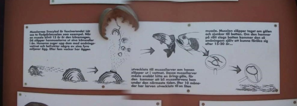 Plansch